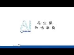 Máy phân loại màu đậu phộng chuyên nghiệp